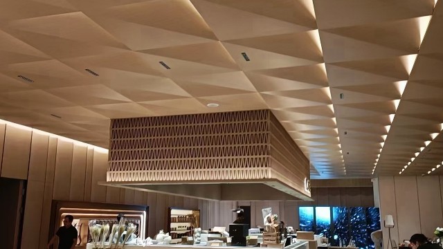 常州金壇萬(wàn)科@三角形鋁單板 常州金壇萬(wàn)科@三角形鋁單板